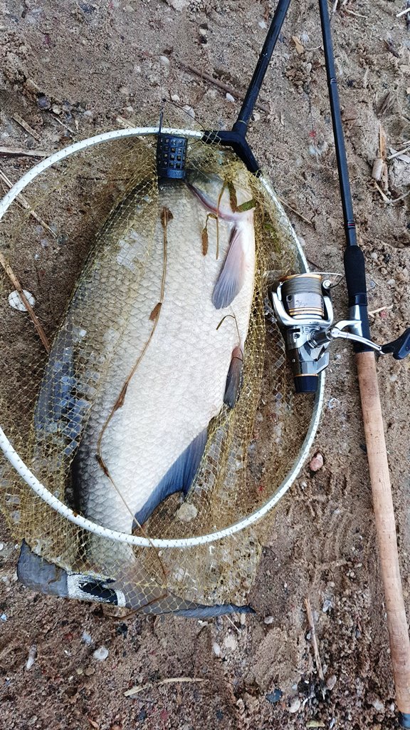 Feeder Concept Tournament 70 3.60 Feeder Concept Tournament 70 3.60